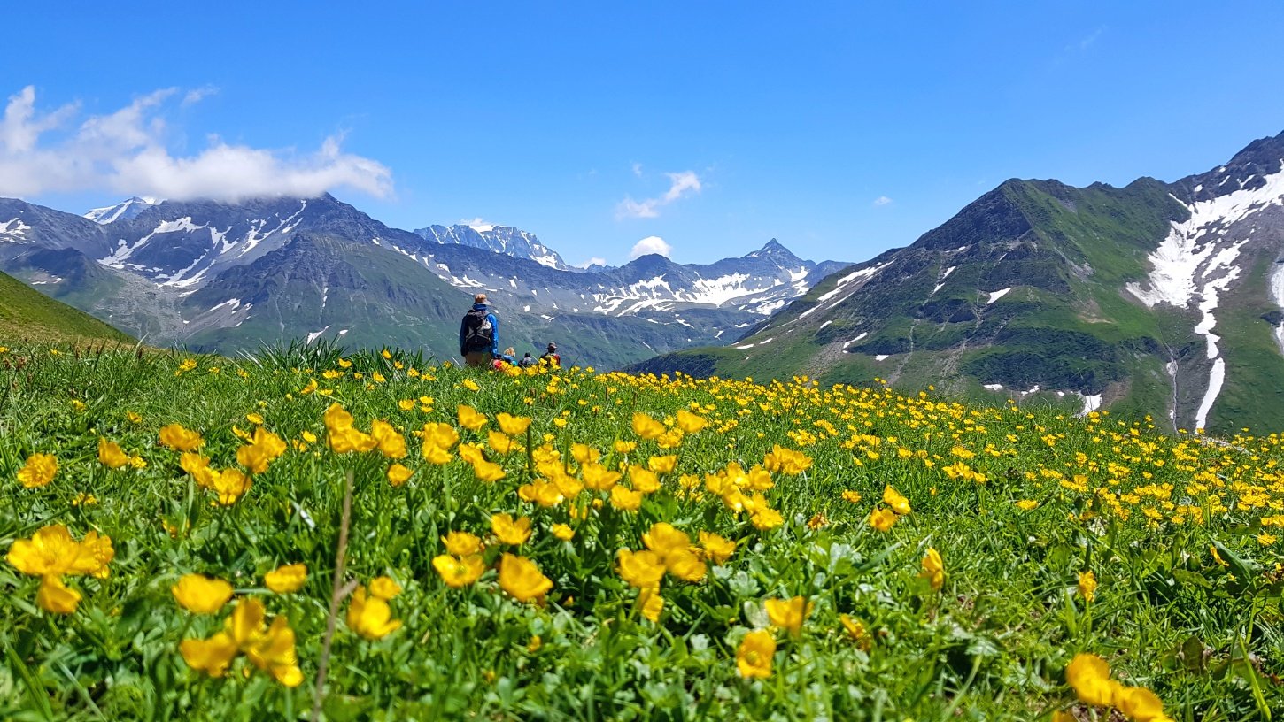 Tour du Mont Blanc – guided trek